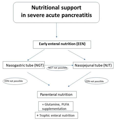 Enteral Nutrition Formulas For Pancreatitis Besto Blog