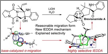 A Comprehensive Understanding Of The Mechanism Of The Biomimetic Total