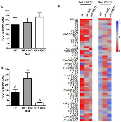 Pgc A Mrna Was Quantified By Qrt Pcr After Wks A And Wks B Of