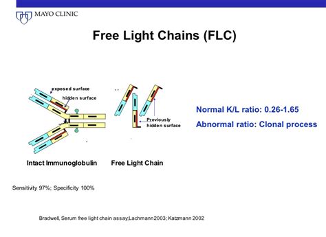 The Serum Free Light Chain Flc Assay Tutorial Medtwitter Myelomavr