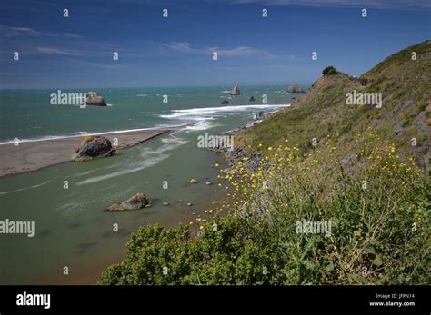 View Of The Pacific Coast At Goat Rock Beach On Highway 1 Between