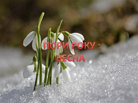 Презентація "Пори року. Весна"