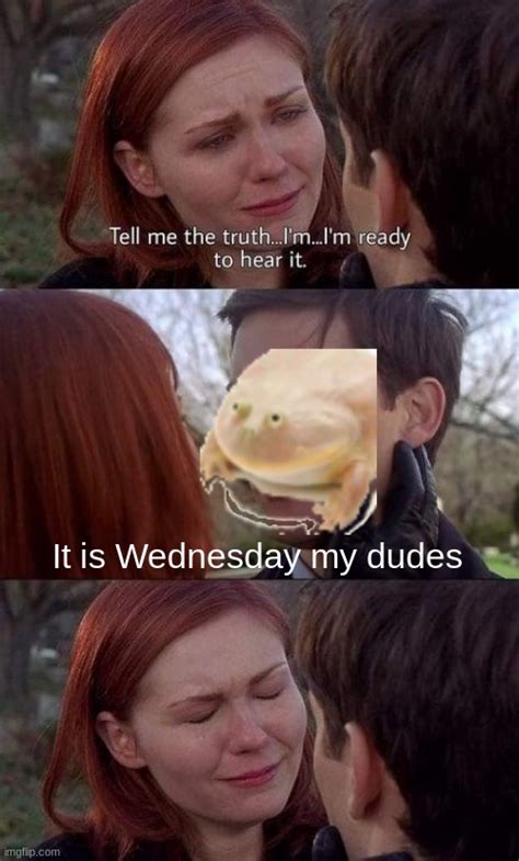 It Is Wednesday My Dudes Imgflip