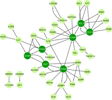 Interaction Network Of Genes Differentially Expressed In Response To Download Scientific