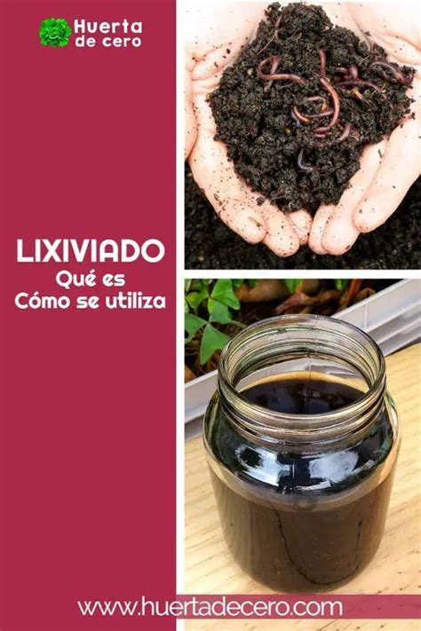 Lixiviado De Humus De Lombriz Sus Beneficios