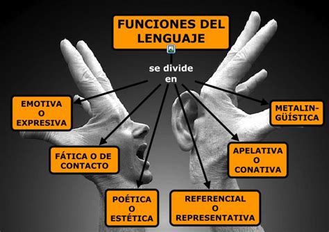 Cuadros Sinópticos Sobre Funciones Del Lenguaje Cuadro Comparativo