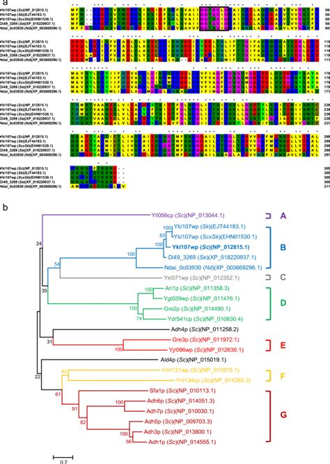 Alignment Analysis Of Amino Acid Sequences Of Ykl107wp And Phylogenetic