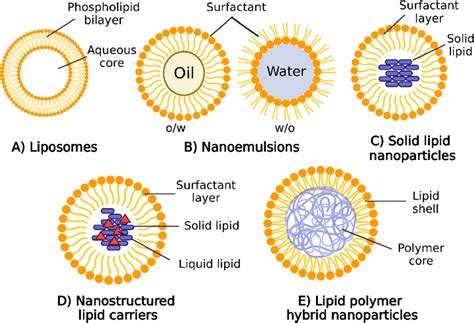 Lipid Based Nanoparticles For Drug Gene Delivery An Overview Of The