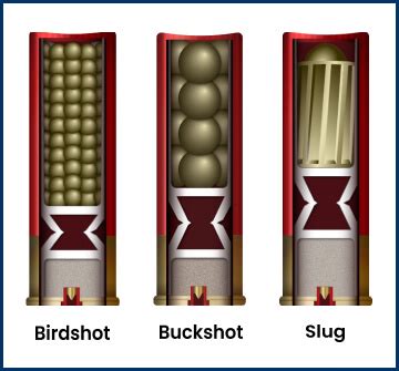 Types of Shotgun Shells: Birdshot vs Buckshot vs Slugs | Academy