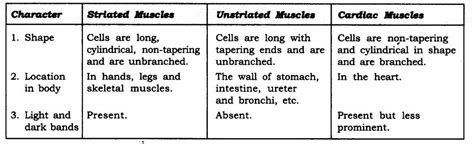 Smooth Muscle Diagram Class 9 Ncert Muscular Tissue Skeletal Smooth And Cardiac Muscle Online