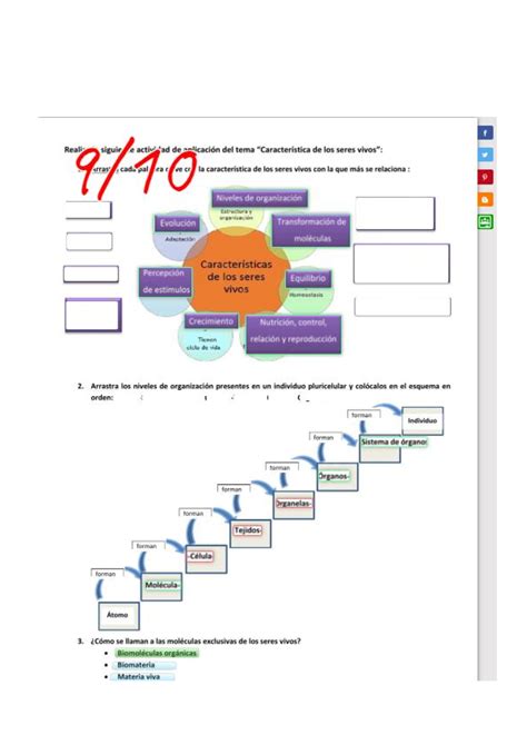 Solution Actividad Caracter Sticas De Los Seres Vivos Studypool