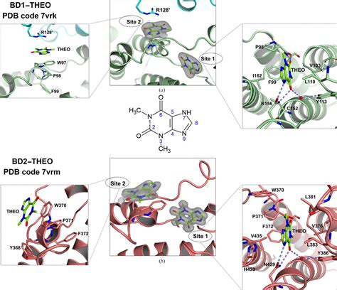 IUCr Structural And Biochemical Insights Into Purine Based Drug