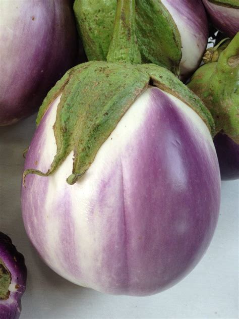 Rosa Bianca Eggplant Seeds For Planting 100 Heirloom