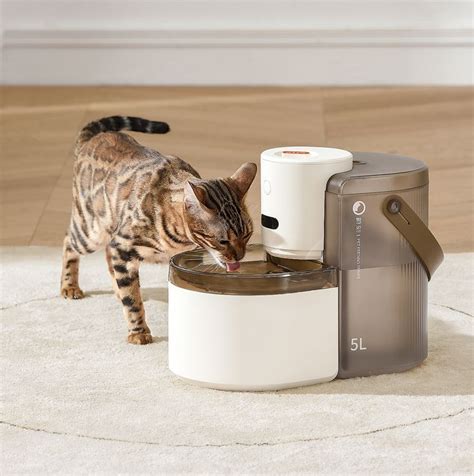 Voocoo Id Design Industrial Design Cat Water