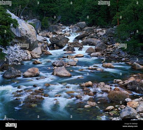 Yosemite National Forest Ca White Water Of Merced River Merced River S Spring Runoff In The