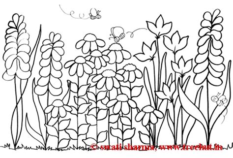 Garden Coloring Pages