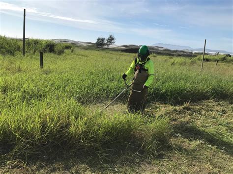 Prefeitura realiza capina e limpeza de trilhas de acesso à Praia das