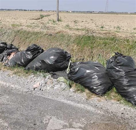 Vigarano Mainarda Scarti Da Cantiere Nel Canale Terza Volta In Pochi