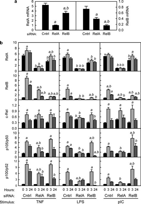 Effects of RelA and RelB knockdown on mRNA levels of nuclear factor κB