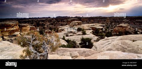 The maze area of Canyonlands National Park, Utah Stock Photo - Alamy