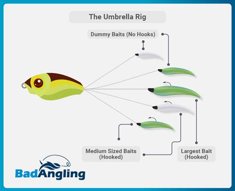 Mastering the Umbrella Rig for Bass Success | BadAngling