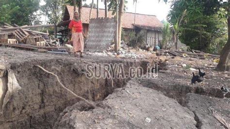 Tanggul Bengawan Solo Longsor Bikin Rumah Dan Kandang Di Lamongan Ini