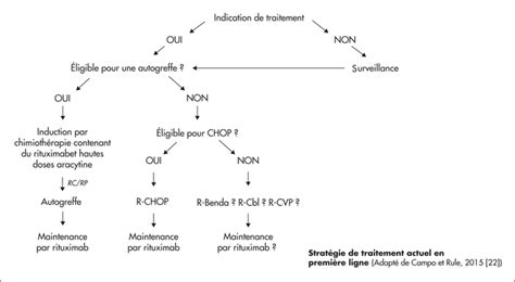 Jle H Matologie Lymphome Cellules Du Manteau