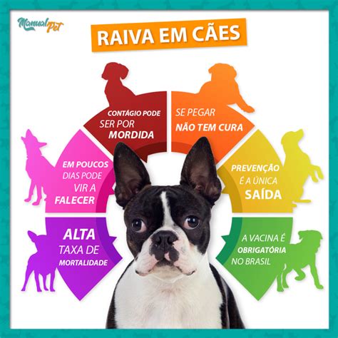 Raiva Em C Es Manual Pet