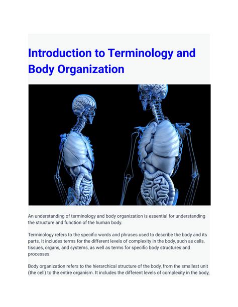 Solution Introduction To Terminology And Body Organization Studypool