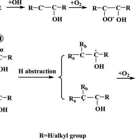 A The Intramolecular H Migration Reactions Of The α Hydroxyalkylperoxy