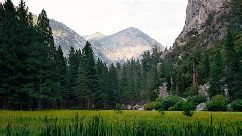 Authorities Searching For Hiker Missing In Kings Canyon National Park