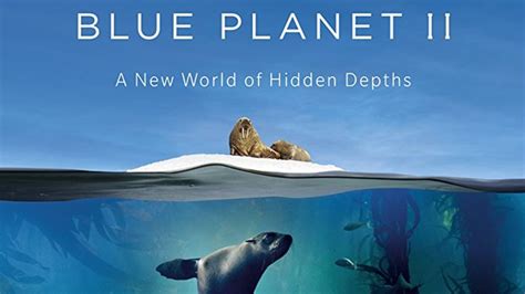 Blue Planet Ii Documental Bbc Mediavida