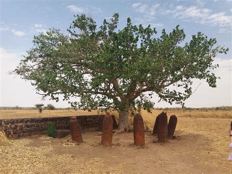 Les 10 Meilleures Choses à Faire à Division De Banjul 2022 Avec Photos Tripadvisor