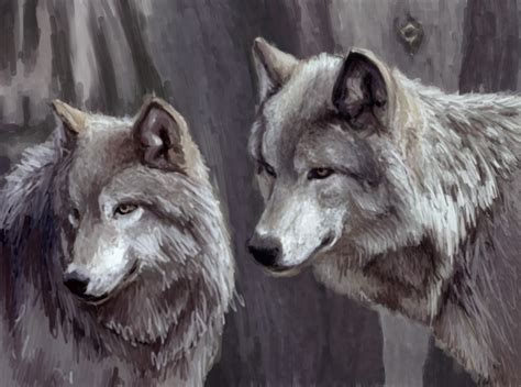 wolfs - WolfPack Photo (10709372) - Fanpop