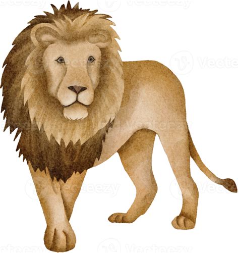 Lion Clip Art