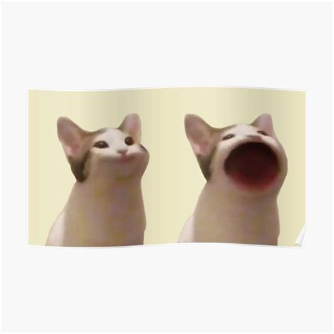 Pop Cat Meme Poster For Sale By Deerhounds Redbubble
