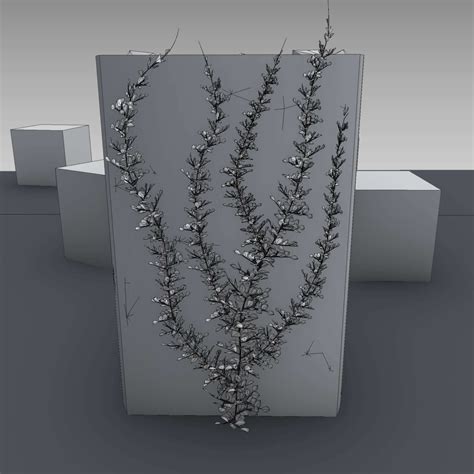 D Model Ivy Vine On Gabion Wall Version Vr Ar Low Poly Cgtrader