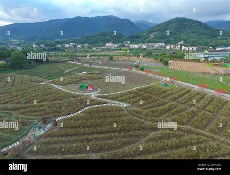 181023 FUZHOU Oct 23 2018 Aerial Photo Taken On Oct 22