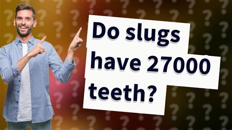 Do Slugs Have 27000 Teeth Youtube