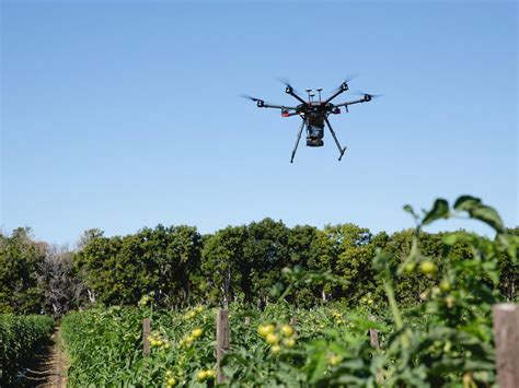 NQ Aerovation Plans New Agricultural Drone Pilot School In Bowen The