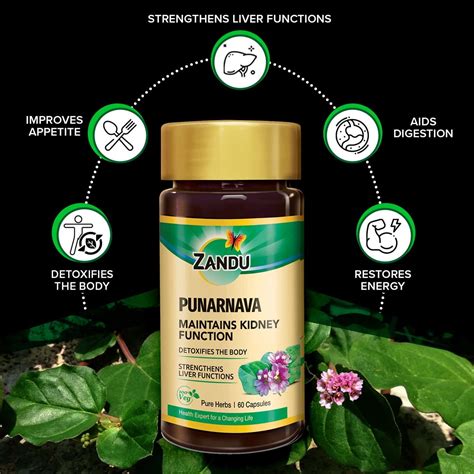 Buy ZANDU PUNARNAVA PURE HERBS KIDNEY CARE CAPSULES BOTTLE OF 60 Online