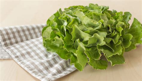 5 Beauty Benefits Of Eating Lettuce Lifeberrys