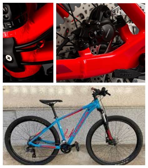 Orbea Vs Trek Comparativa De Ambas Marcas Comparamos Ambas Marcas