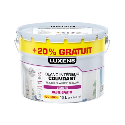 Peinture Mur Plafond Boiserie Blanc Velours Luxens Couvrant 10l20