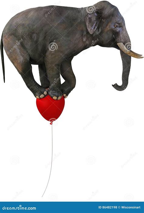 Flying Elephant Red Balloon Isolated Stock Photo Illustration Of