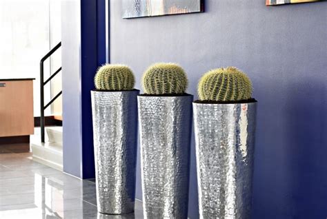 Tall Indoor Planters Foter