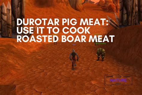 Durotar Pig Meat: Use It To Cook Roasted Boar Meat - The Nature Hero