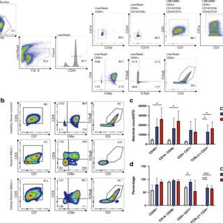 Human Ipsc Derived T Cell Differentiation In Healthy Donor Cells And In