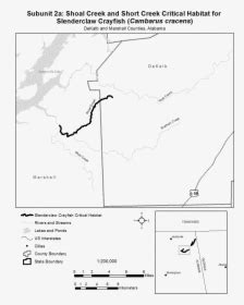 Greenbow Alabama Map, HD Png Download , Transparent Png Image - PNGitem