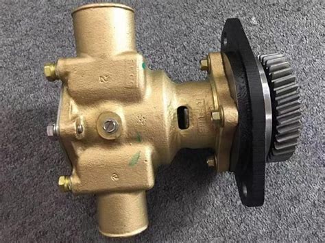 Cummins Sea Water Pump